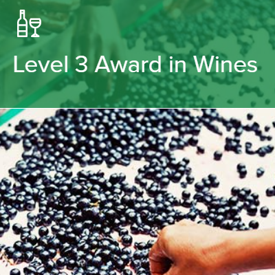 WSET®Level 3 Award in Wines